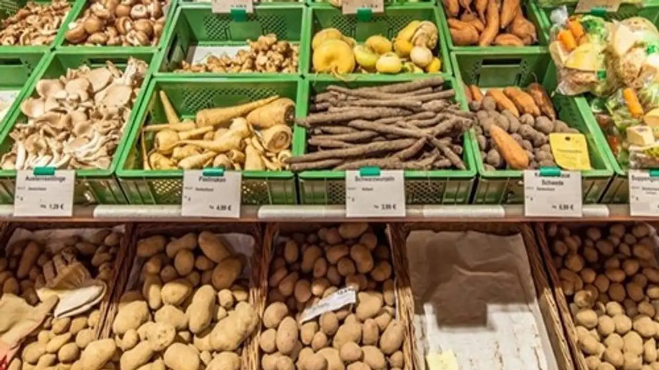 انخفاض الأسعار بنسبة 22% يضع المزارعين في مواجهة مباشرة مع خطر الإفلاس